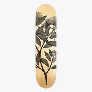 Skate Deck - Black Pohutukawa