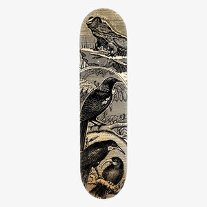 Skate Deck - Tuatara Stamp