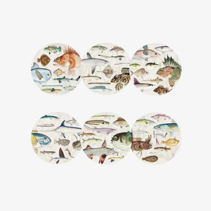 Coaster Set - Fishes of NZ - 100%NZ