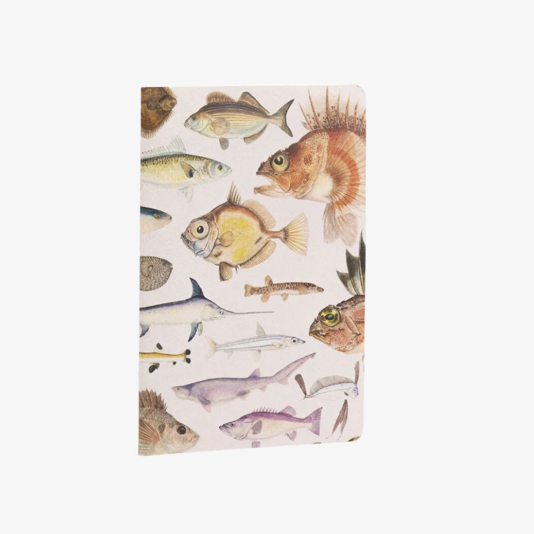 *Notebook Set - Fishes