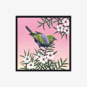 Waxeye on Manuka Blockmount Print