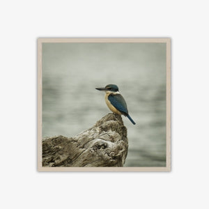 Perfect Perch Blockmount Print 17.5x12.5cm