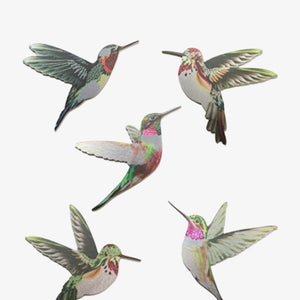 Printed Aluminium Set - Hummingbird