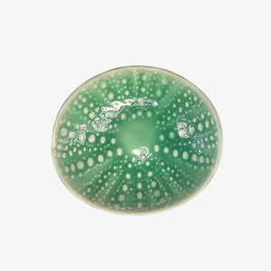 Kina Porcelain Bowl 10cm, Aqua