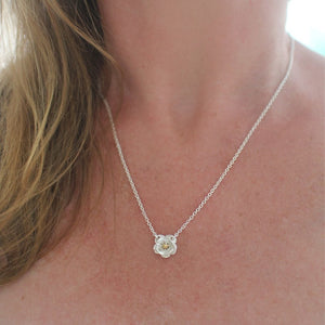 Mount Cook Lily Necklace - Solid 10k Gold Centre