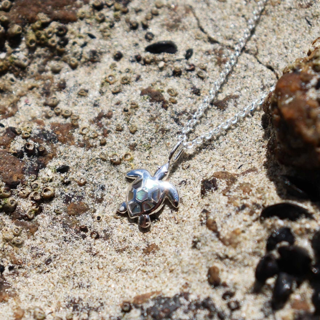 Silver & Pāua Turtle Necklace