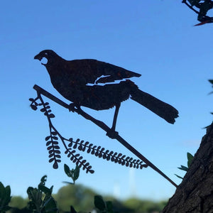 Metal Bird - Kōkako, Regular