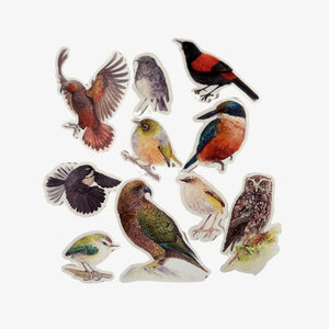 Stickers, Pack of 10 - NZ Birds