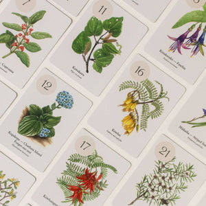 Botanical Bingo - The Connor Collection